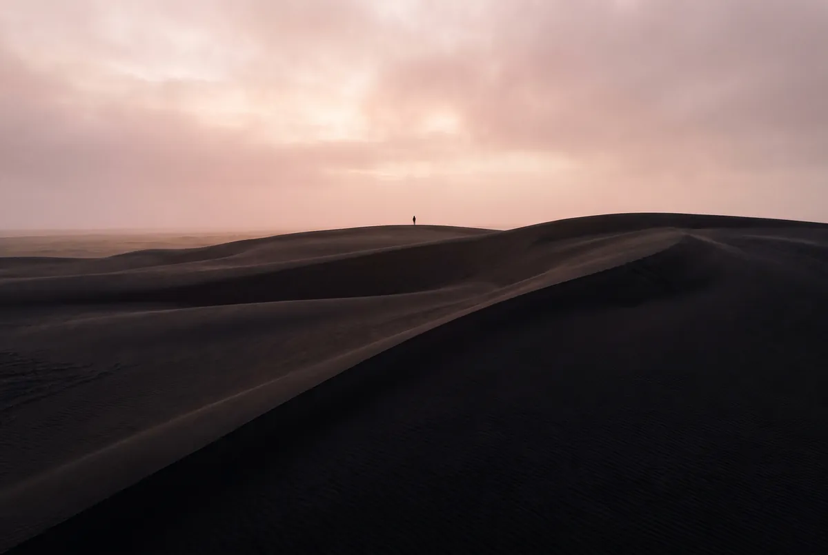 Cendre — installation immersive